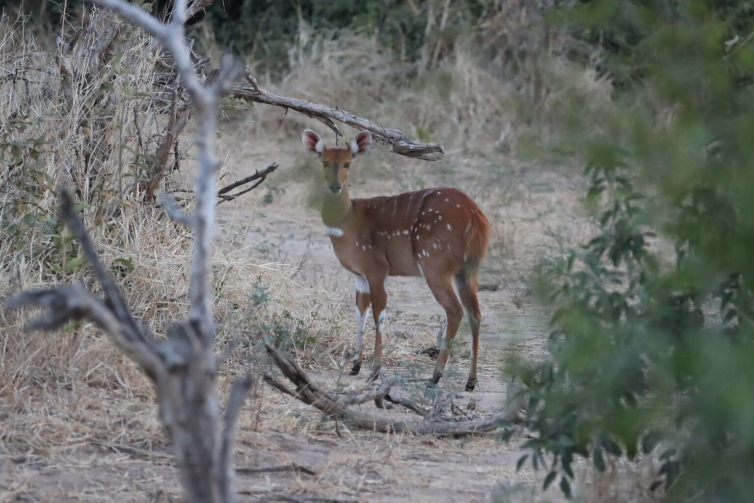 101346681_3651551021527737_1584049918052401152_n