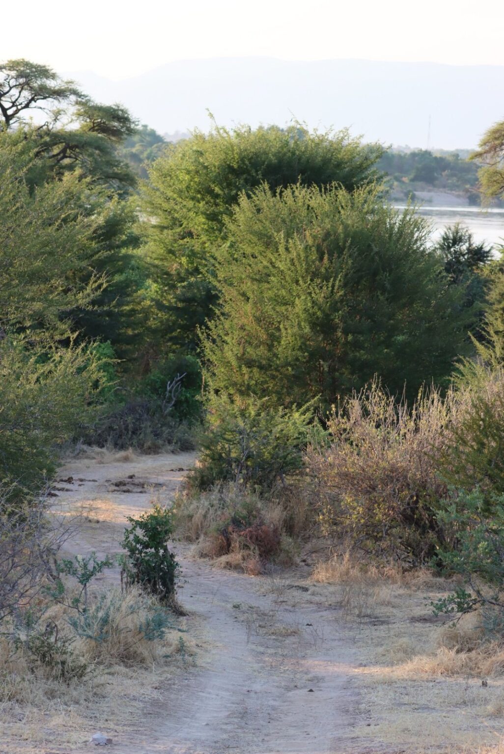 101639831_3651905974825575_1166453761145569280_n