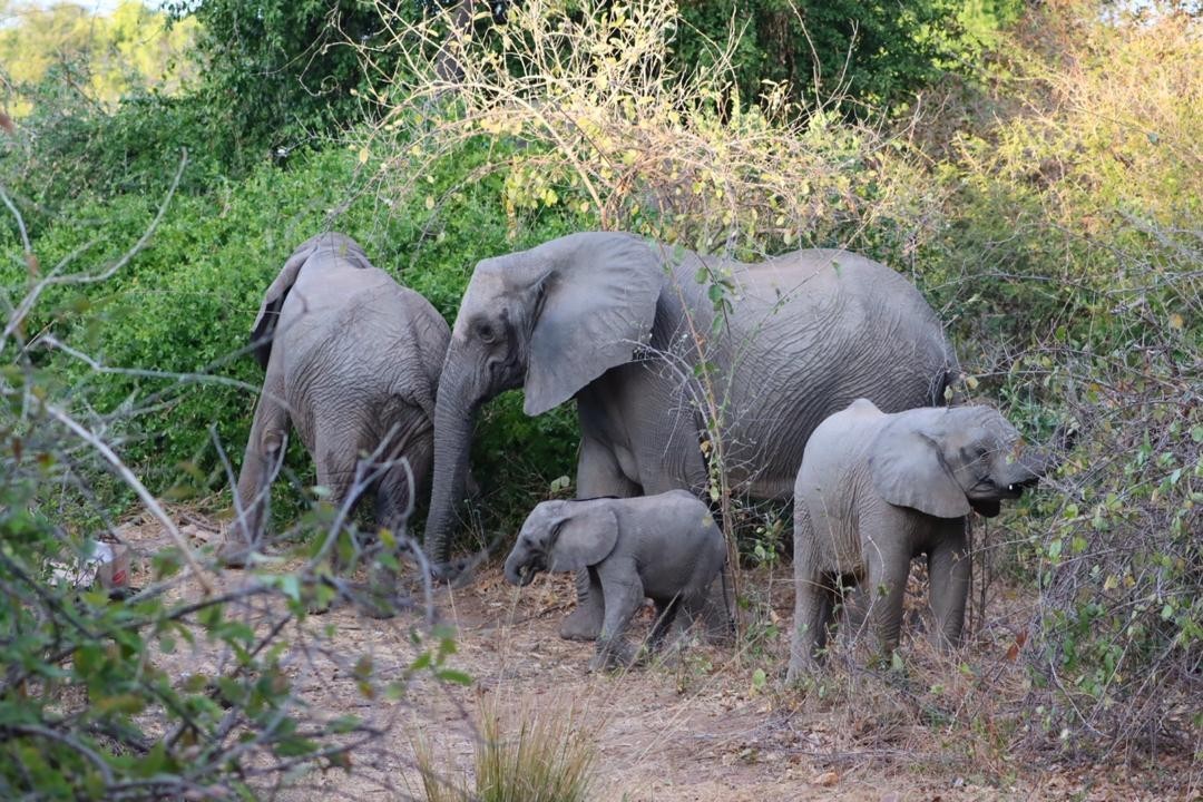 112754360_3797038813645623_6390365190842081815_n