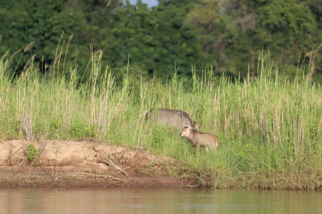 153474119_4451520694864095_7944533093083871173_n