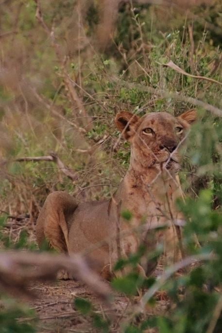 465152275_9523598910989556_5897625452832236736_n