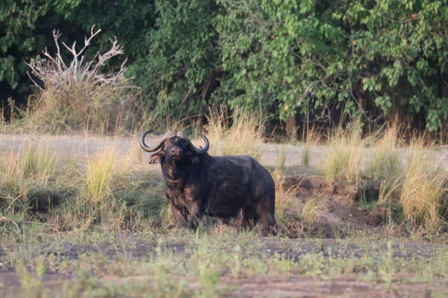 481176507_1201978748598689_5215092880132477431_n