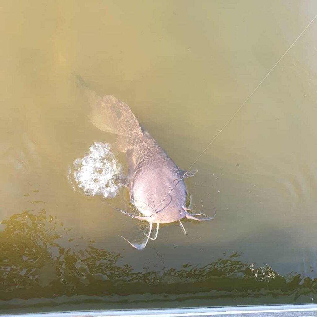 488474541_1236604488469448_3897356064673820128_n