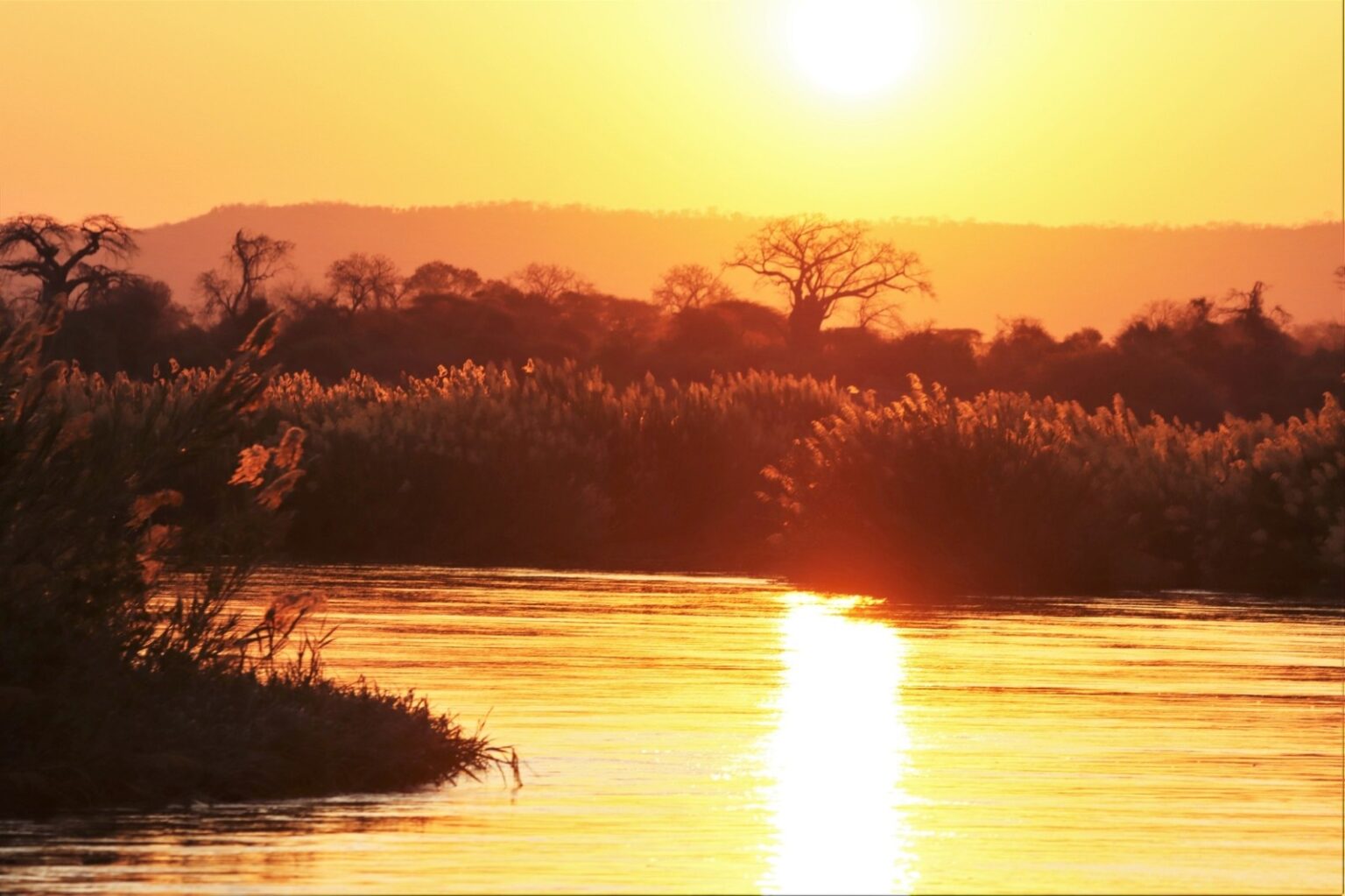 491080624_1246300604166503_8266619187894868787_n