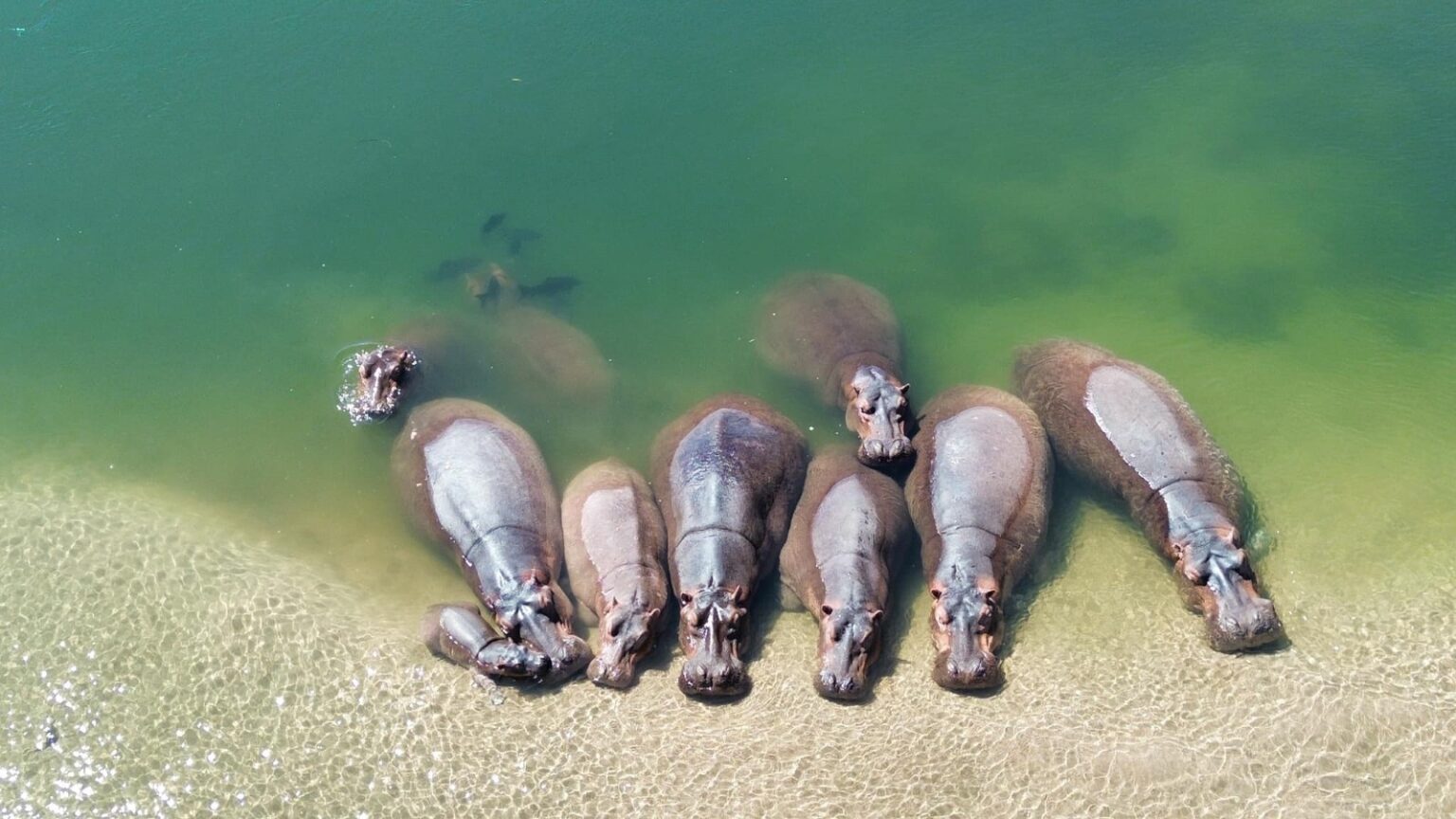 491830646_1248580700605160_4594344480094193810_n