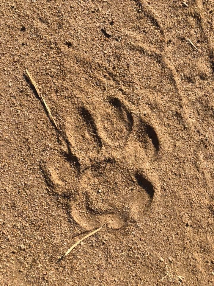 68483591_2935539523128894_9131867573929902080_n