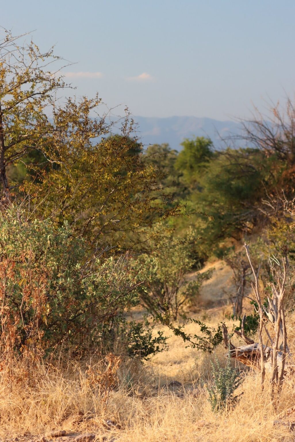 84333679_3651906541492185_3691989205157675008_n