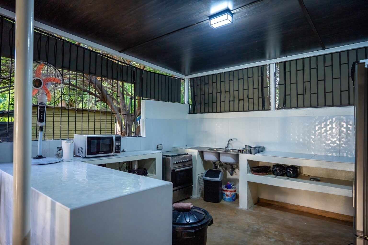 DSC00914-DeNoiseAI-standard