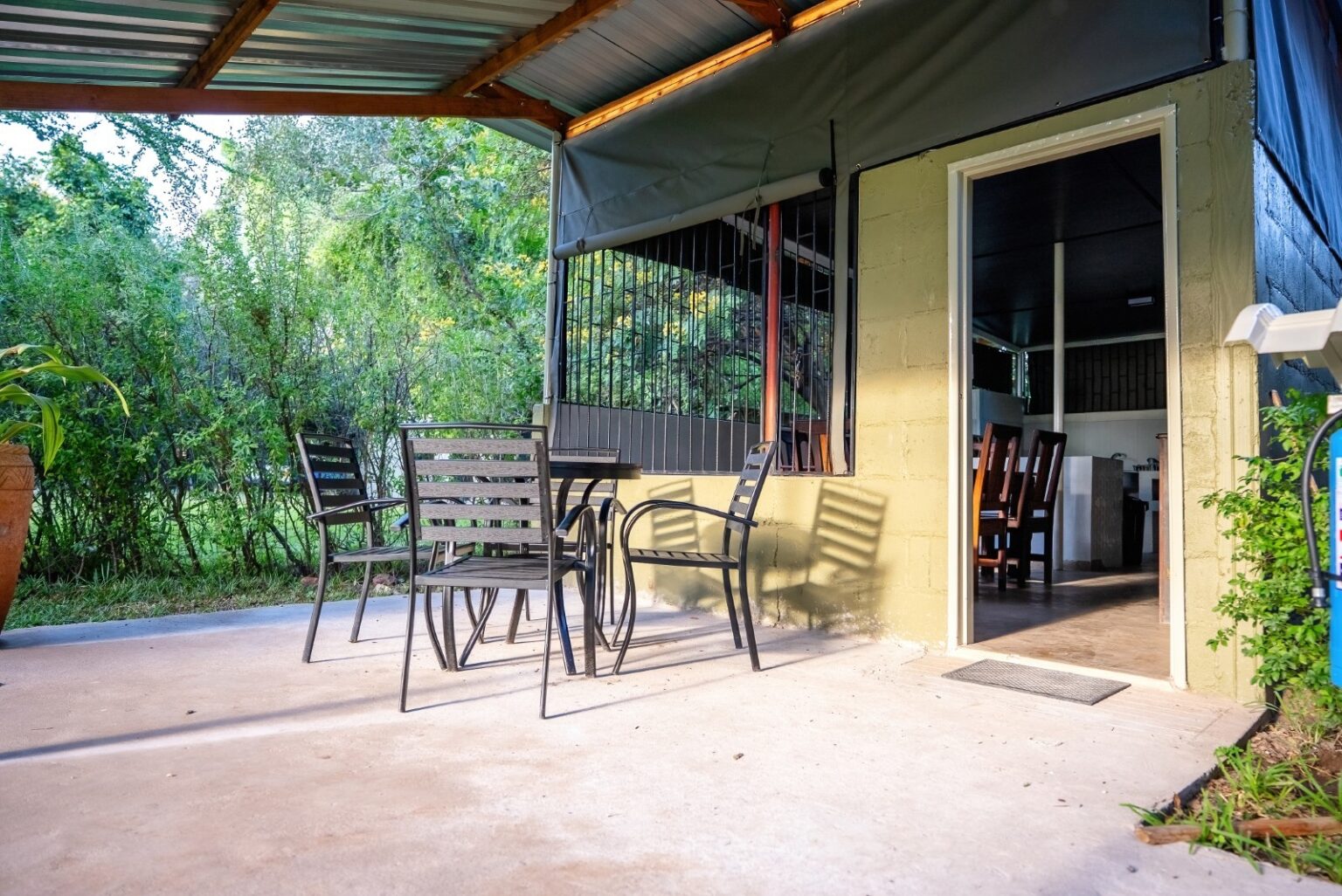 DSC00916-DeNoiseAI-standard