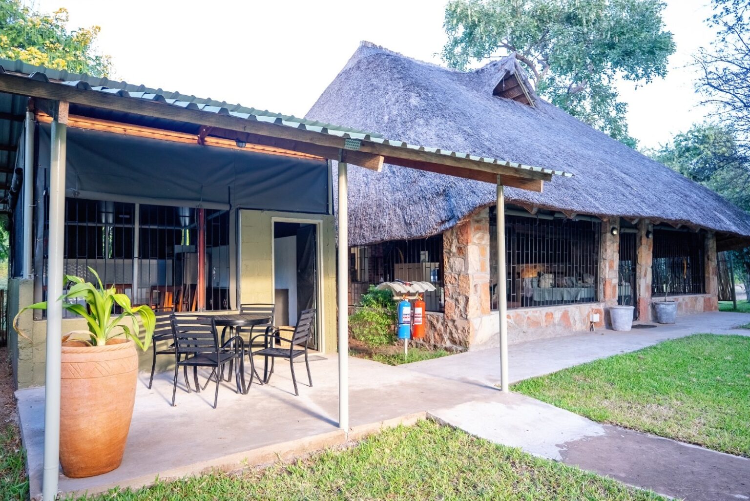 DSC00918-DeNoiseAI-standard