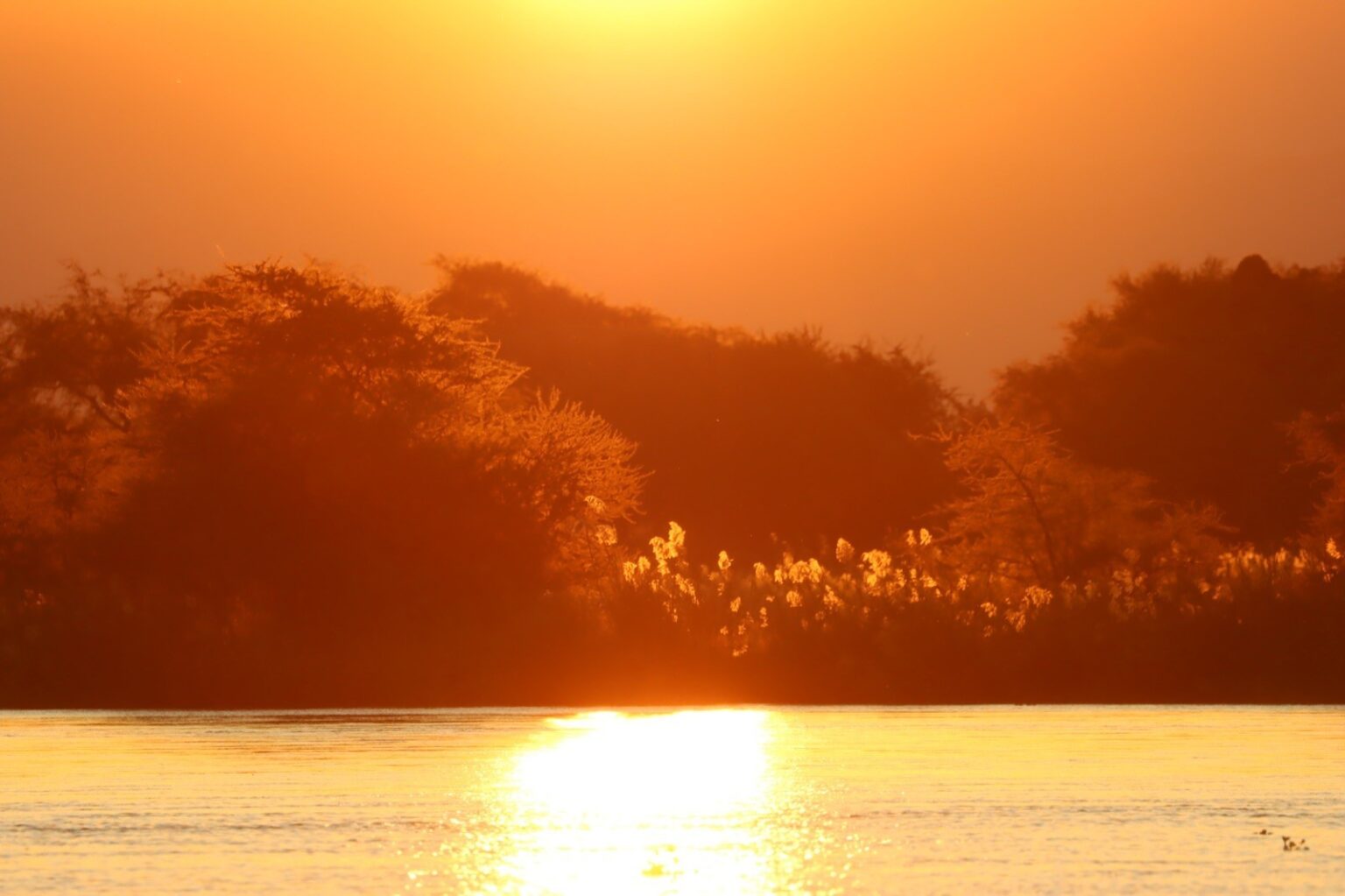 riverscapes5