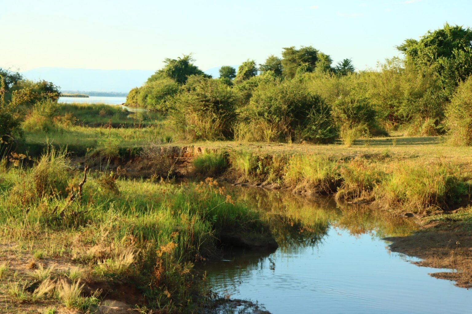 scenic-walks-around-camp