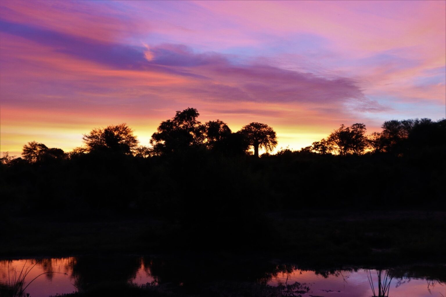 sunrise-over-the-pond