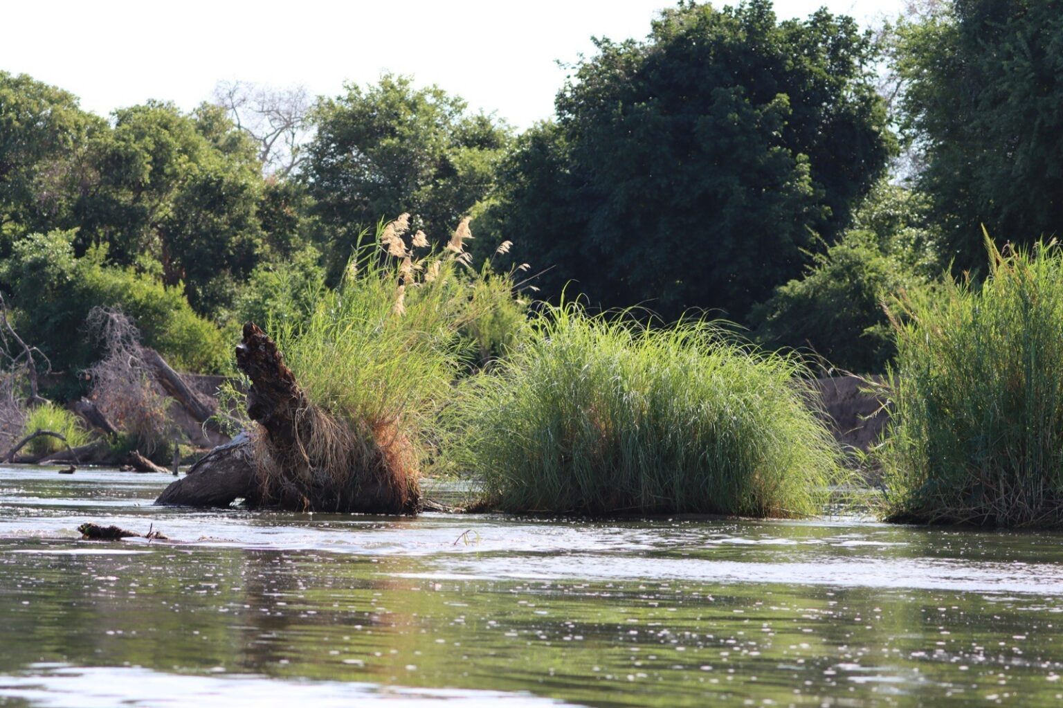 typical-riverscape-of-the-middle-zambezi