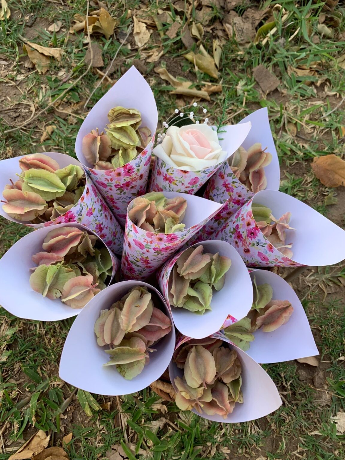 weddings-at-jecha