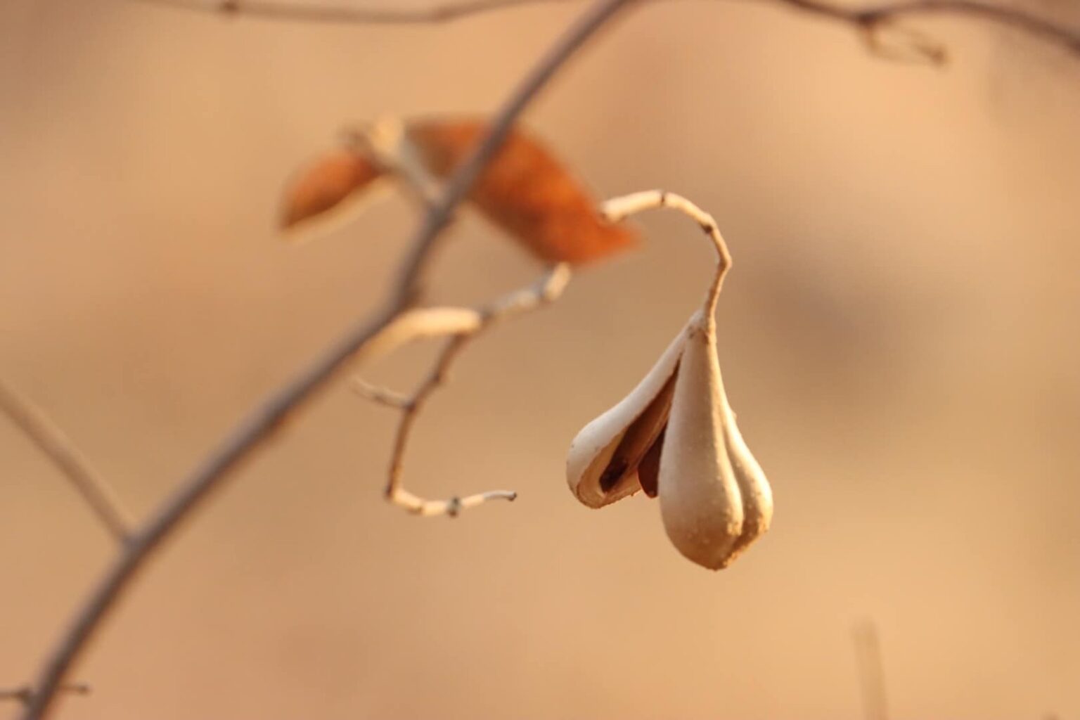 480519236_1196568005806430_5831198467325325292_n